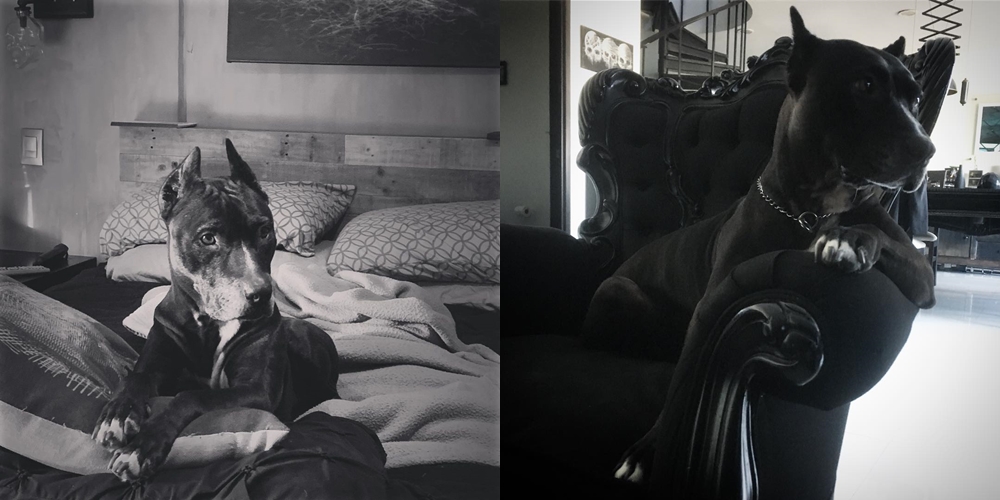 Potret rumah 9 artis telenovela 90-an, milik Thalia 'Rosalinda' elegan