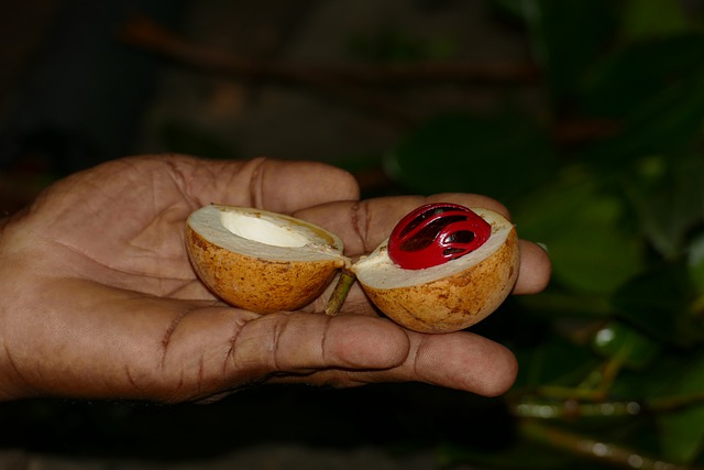 7 Bahan makanan pengganti cabai, pedasnya nendang abis