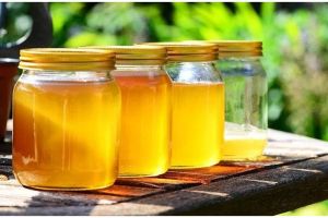 7 Cara mudah membedakan madu asli dan palsu, jangan terkecoh