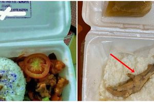 13 Momen apes buka nasi kotak ini bikin ngelus dada