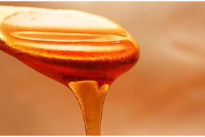 7 Cara menyimpan madu agar tetap berkualitas, jauhkan dari api