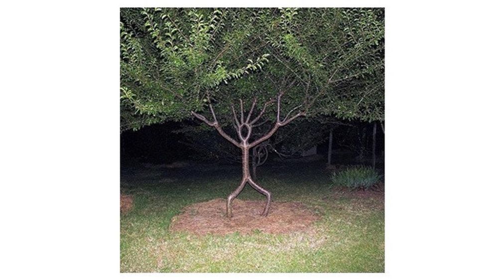 7 Potret tanaman di taman ini bentuknya nyeleneh, bikin tepuk jidat