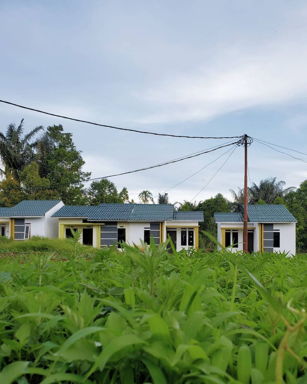 9 Potret bisnis properti Greysia Polii, berjumlah 81 unit
