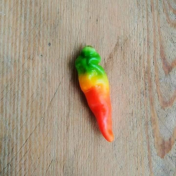 11 Momen lucu ketiban rezeki ini malah absurd abis