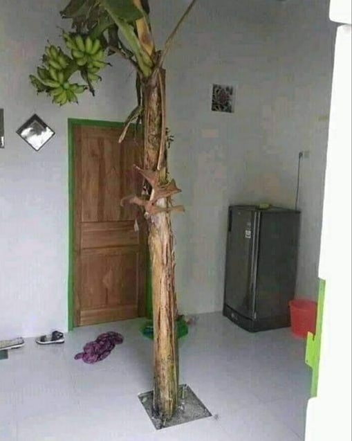 11 Momen lucu ketiban rezeki ini malah absurd abis