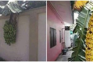 11 Momen lucu ketiban rezeki ini malah absurd abis