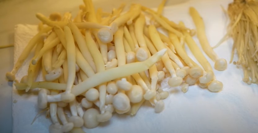 9 Tips menyimpan bahan makanan di kulkas ala Tasyi Athasyia, estetik