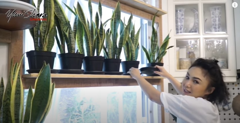 7 Tips sehat dan awet muda ala Yuni Shara, pakai bahan alami