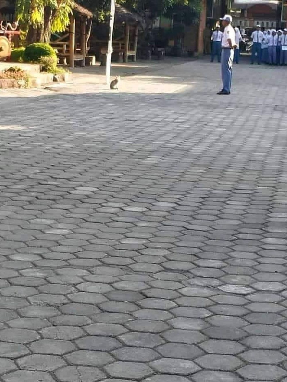 11 Momen lucu saat upacara, bikin kangen masa sekolah