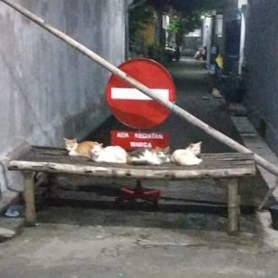 13 Momen lucu di gang sempit ini bikin auto ngelus dada