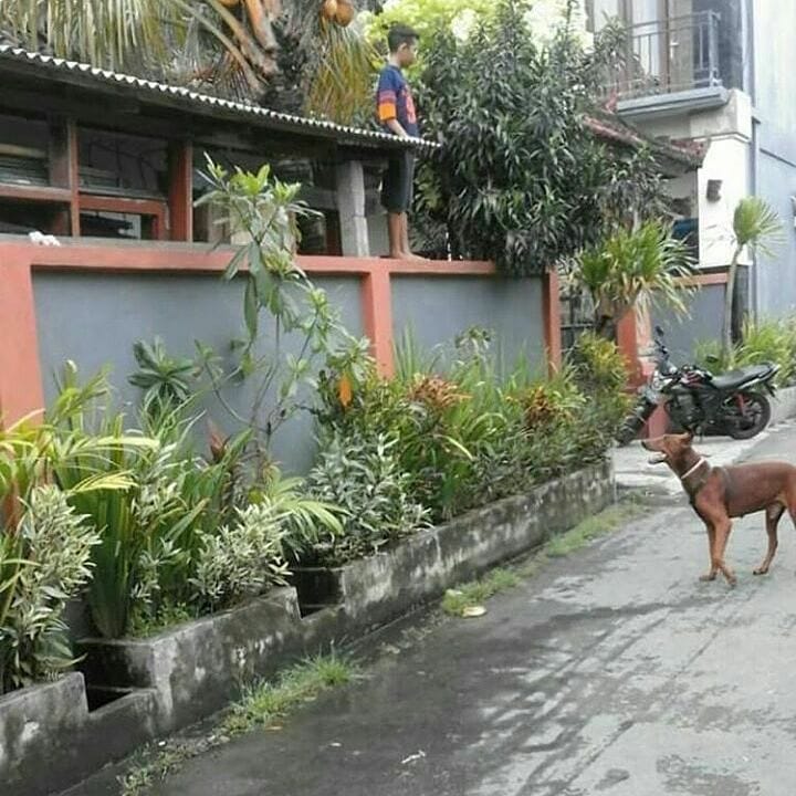 13 Momen lucu di gang sempit ini bikin auto ngelus dada