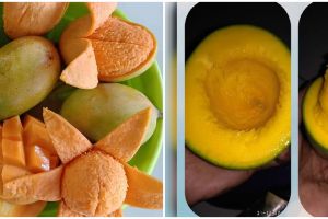9 Potret lucu cara ngupas buah mangga ini bikin tepuk jidat