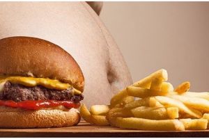 5 Pola makan ini bantu cegah obesitas, pahami sedari dini