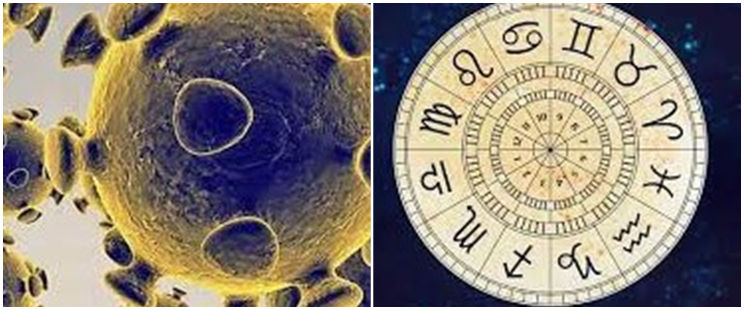 WHO siapkan nama baru varian Covid-19, mulai dari Aries hingga Gemini