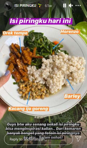 Nggak pakai ribet, 13 menu sehat Andien Aisyah ini gampang ditiru