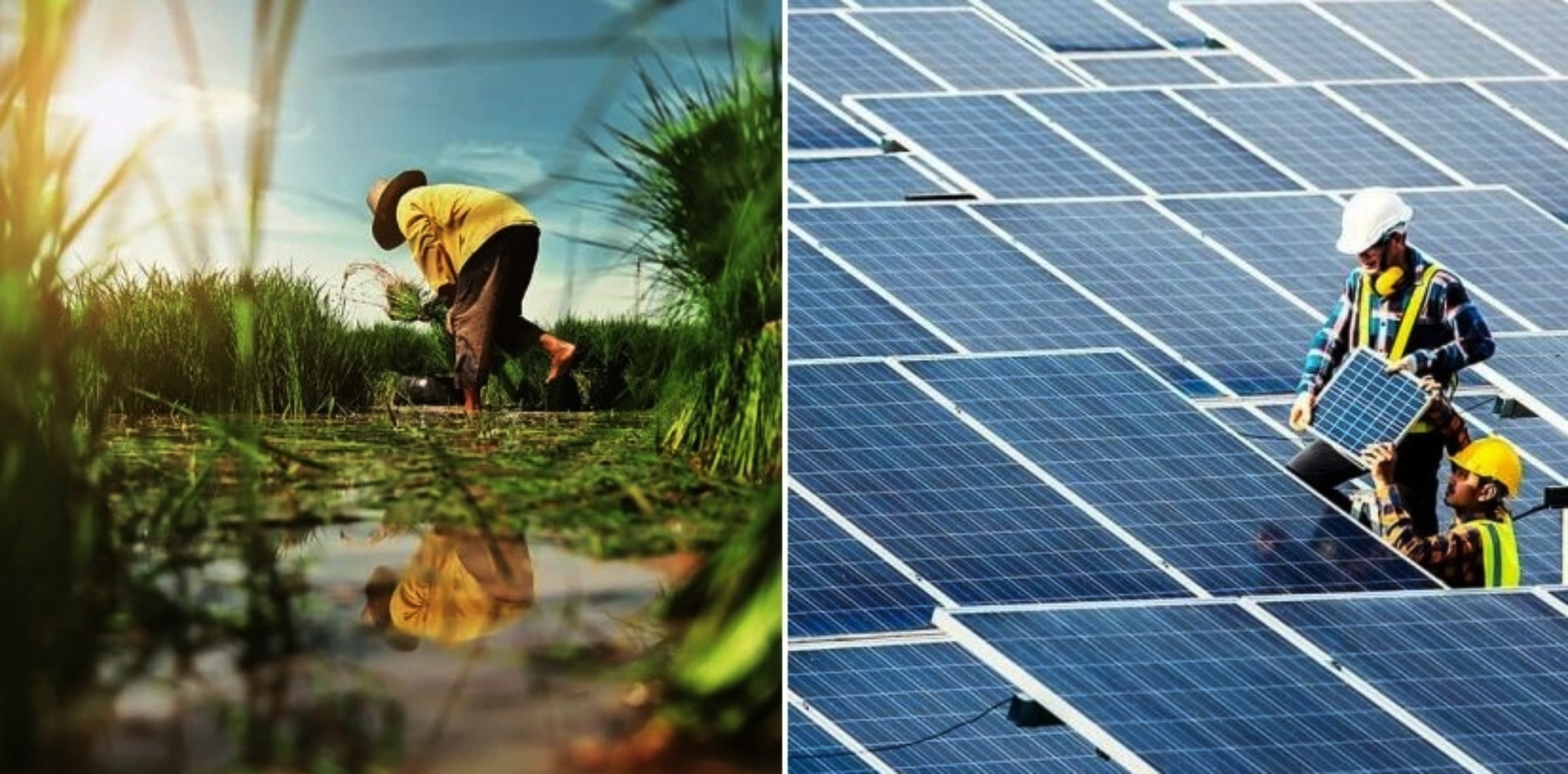 Dua perusahaan swasta ini mulai terapkan nol emisi karbon