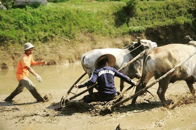 9 Potret sederhana keseharian Lord Adi di luar galeri MasterChef