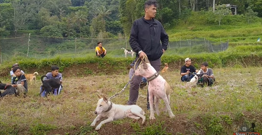 9 Potret sederhana keseharian Lord Adi di luar galeri MasterChef