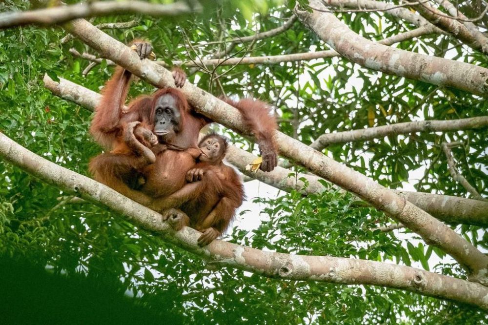 3 Rahasia Indonesia jadi pusat ekowisata dunia, Sandiaga ajak milenial