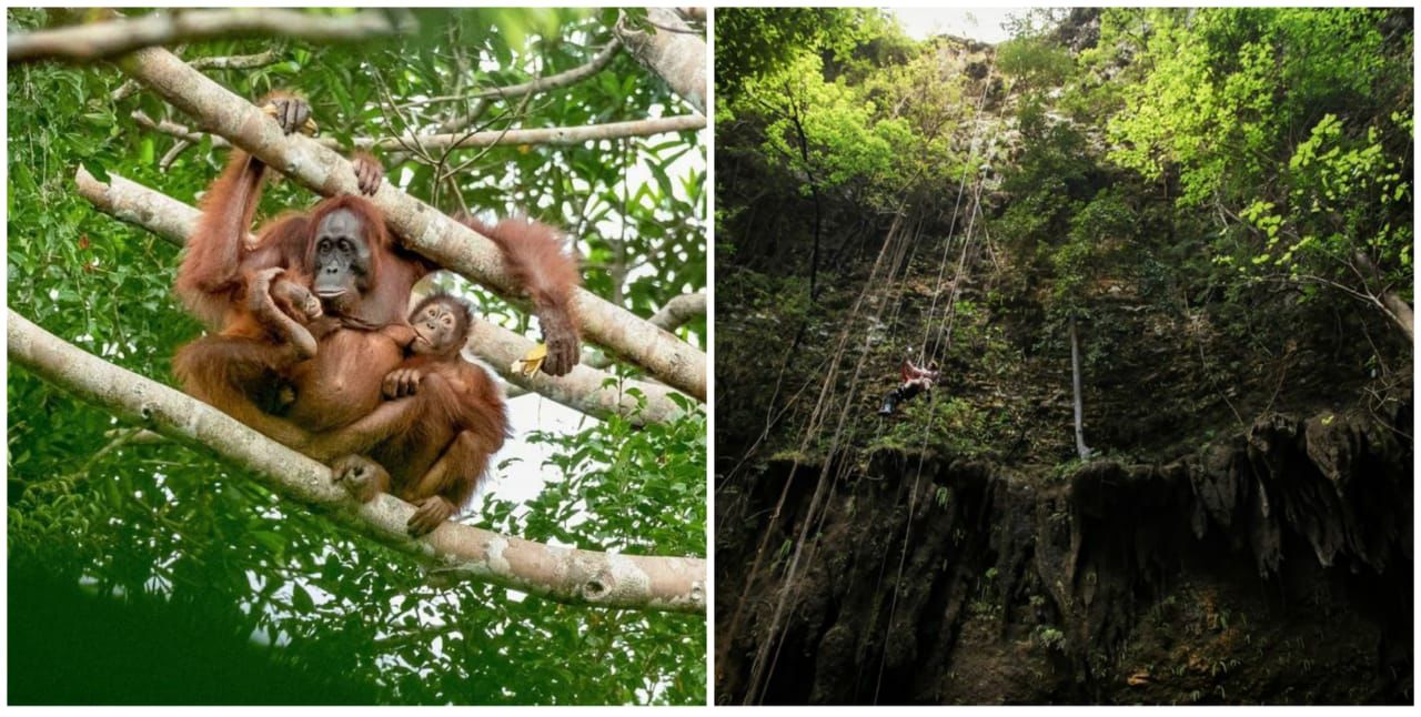 3 Rahasia Indonesia jadi pusat ekowisata dunia, Sandiaga ajak milenial