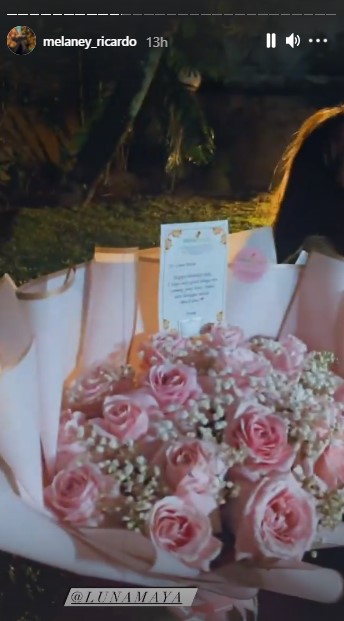 9 Momen ultah Luna Maya ke-38, dapat kejutan manis Geng Menteri Ceria