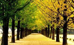 Indahnya 17 lokasi ikonik di drama Korea ini bikin tak sabar liburan