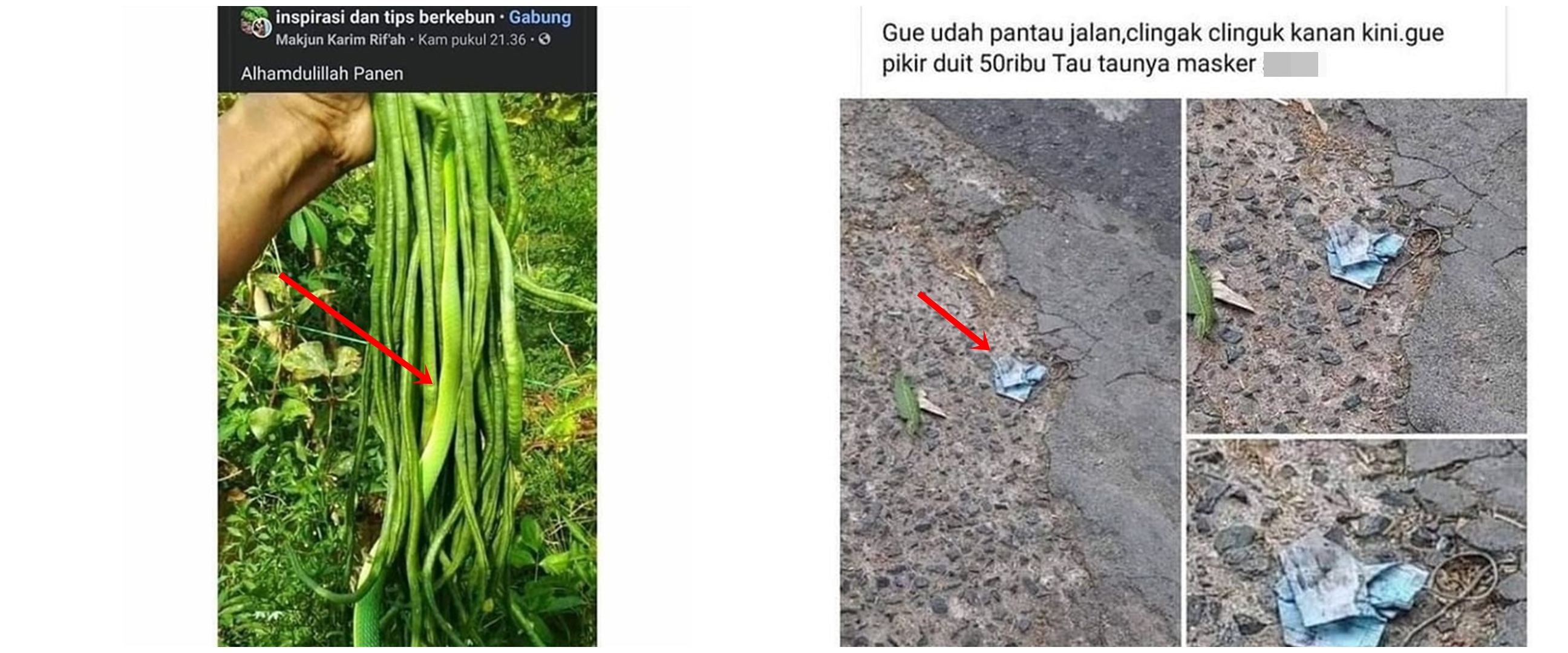 11 Status Facebook lucu ini bikin kamu harus lihat dengan jeli