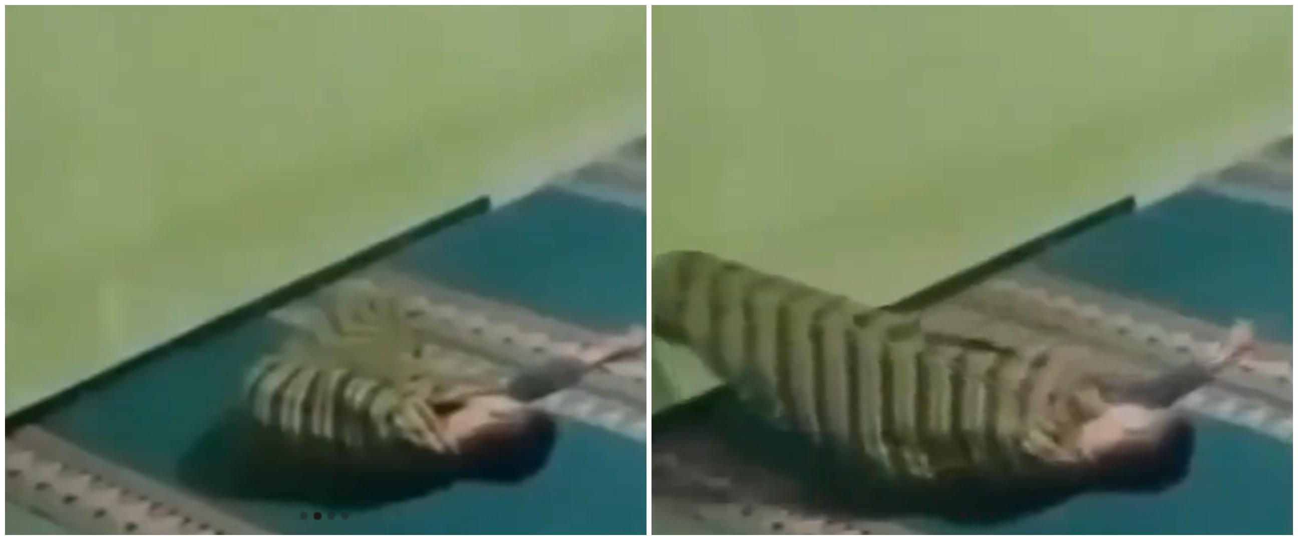 Viral video pria ditarik sosok misterius saat tidur, auto merinding