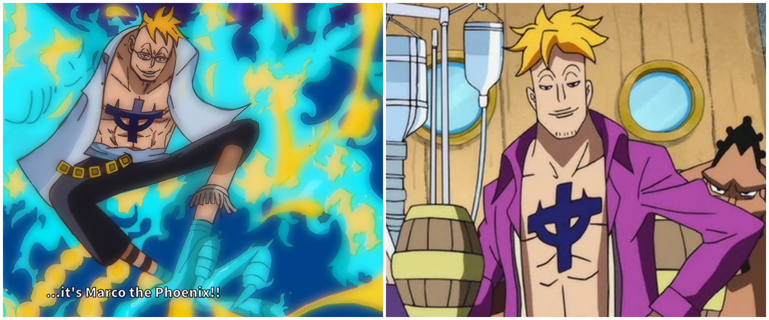 9 Fakta menarik Marco, wakil kapten Shirohige dalam serial One Piece