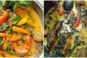 9 Resep olahan lele berkuah, rasanya bikin berselera