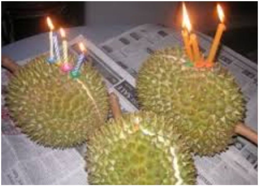 11 Cara lucu orang manfaatin durian ini absurd banget deh