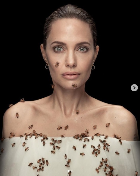 7 Aksi kemanusiaan Angelina Jolie, dirikan yayasan dan bantu pengungsi