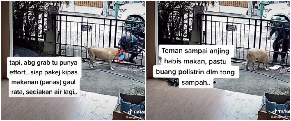 Dapat order beri makan hewan, aksi driver ojol ini bikin angkat jempol