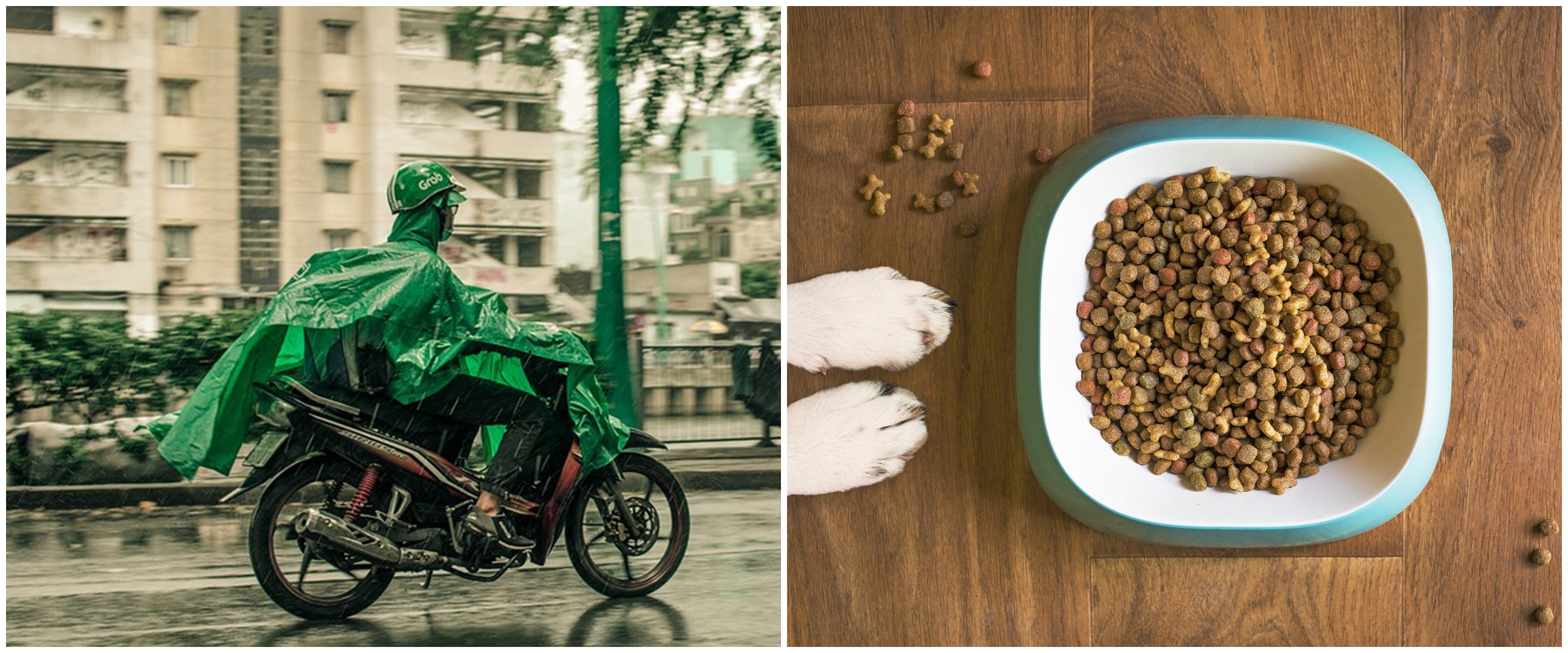 Dapat order beri makan hewan, aksi driver ojol ini bikin angkat jempol