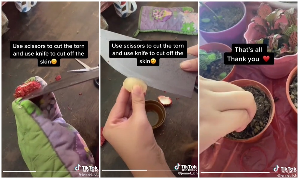 Tutorial kupas rambutan antimainstream, bikin warganet geregetan