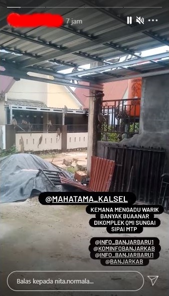 Viral puluhan kera serbu pemukiman warga di Kalimantan Selatan