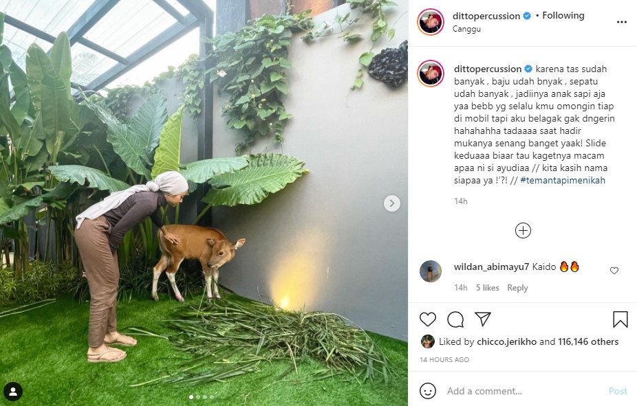 Dapat kado anak sapi, 5 momen ulang tahun Ayudia ini antimainstream