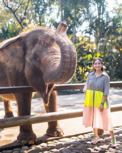 Tampil stylish saat hamil, ini 7 cara Nagita Slavina memilih busana