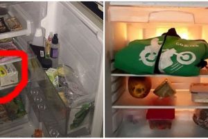 13 Potret kulkas alih fungsi jadi lemari, solusi cerdik warga +62