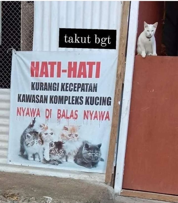 13 Peringatan lucu di jalan kompleks ini bikin takut mau melanggar