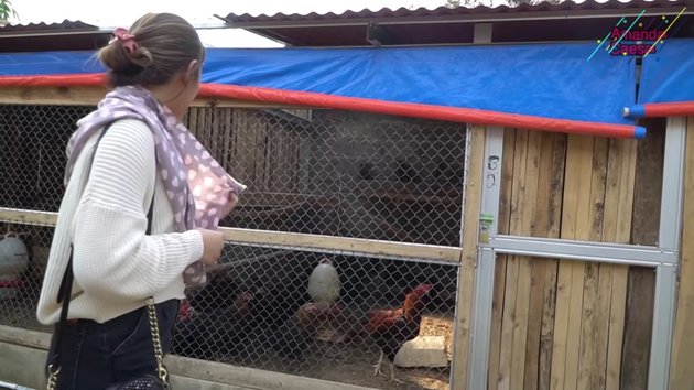 11 Penampakan pesantren milik Azis Gagap, dilengkapi kandang ternak