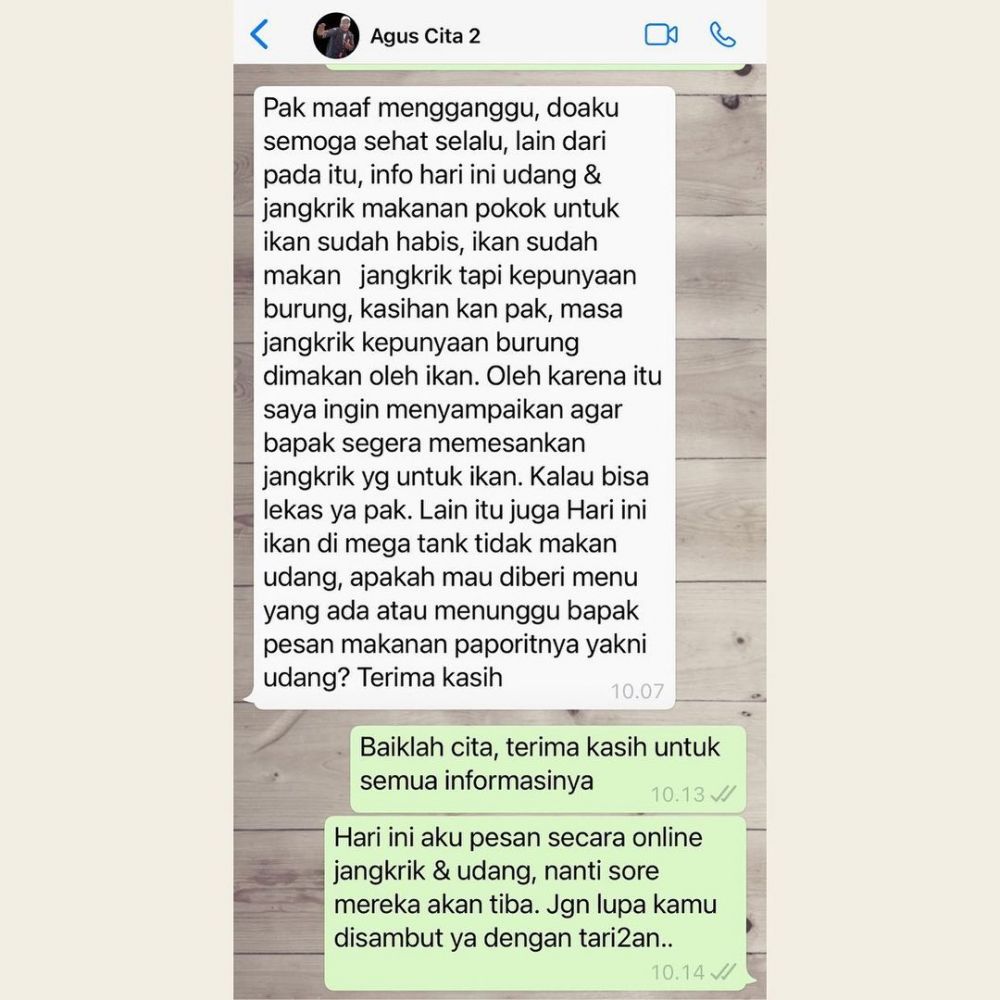 Bahasa baku jadi lucu, intip 5 chat unik Citayem asisten Denny Cagur