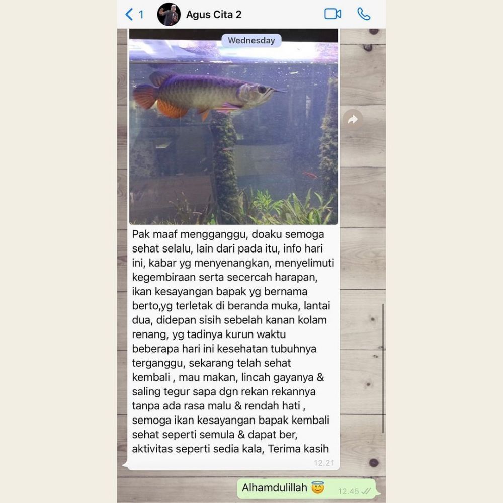 Bahasa baku jadi lucu, intip 5 chat unik Citayem asisten Denny Cagur