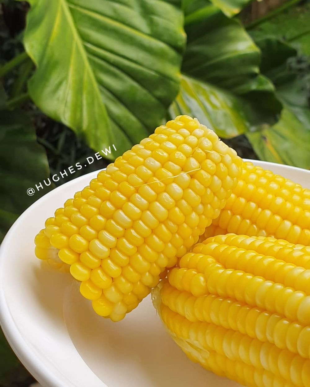 7 Menu sayur ini dikonsumsi Dewi Hughes, berat badannya turun 75 kg