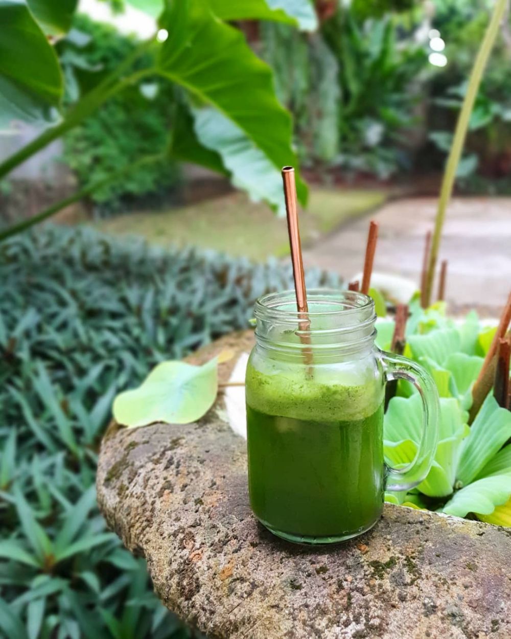 7 Menu sayur ini dikonsumsi Dewi Hughes, berat badannya turun 75 kg