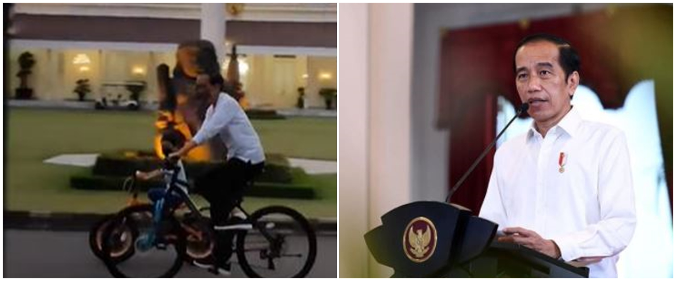 Sapa warga Jogja di Istana Kepresidenan, gestur Jokowi jadi buah bibir