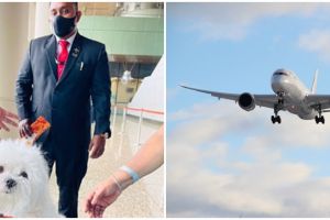 Pergi bareng anjingnya, wanita India pesan seluruh kabin kelas bisnis