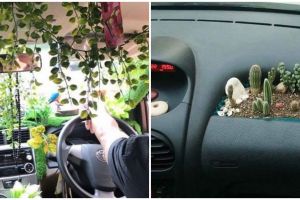 11 Cara nyeleneh orang dekorasi mobil ini bikin salah fokus