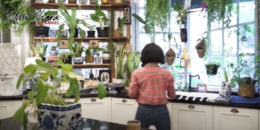 9 Cara Yuni Shara menata dapur,  estetik penuh tanaman