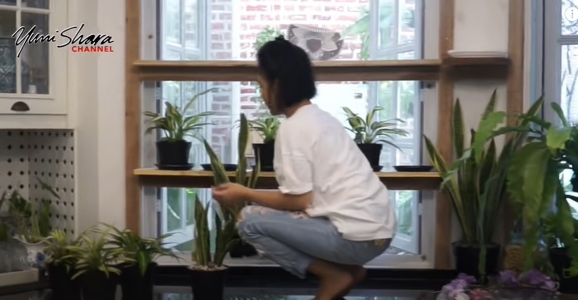 9 Cara Yuni Shara menata dapur,  estetik penuh tanaman